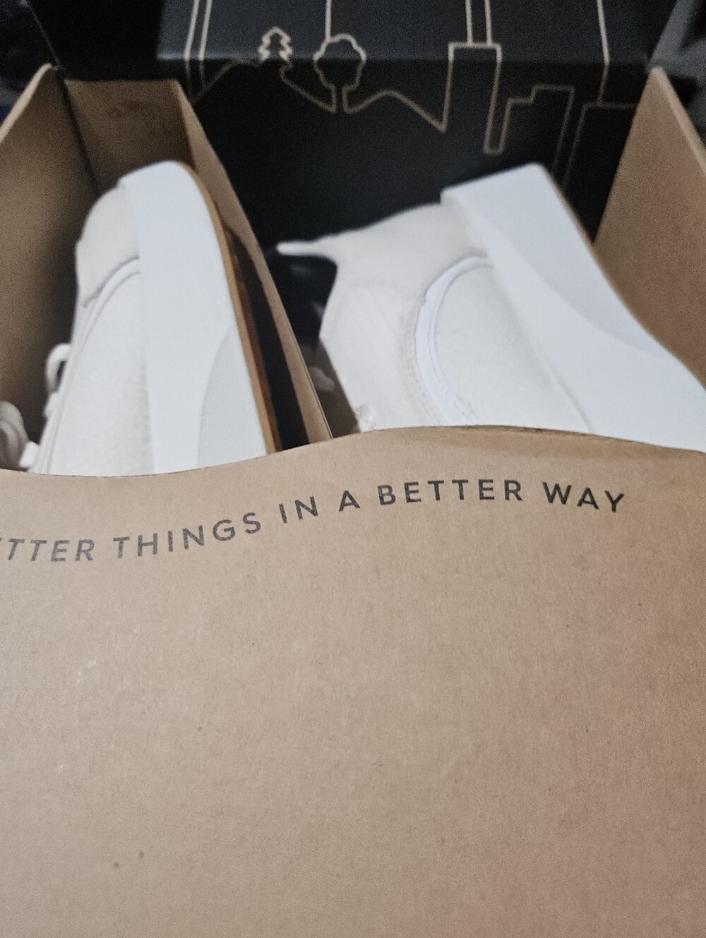 allbirds Natural White Box Label